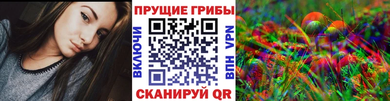 Купить закладки  Сорочинск  Псилоцибиновые грибы Psilocybe 